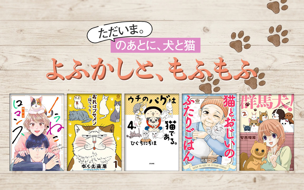 【ただいま。のあとに、犬と猫】よふかしと、もふもふ